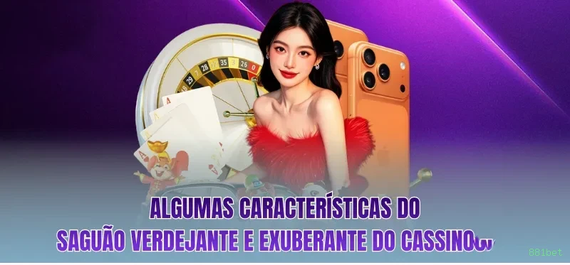 Suporte VIP 881bet - atendimento prioritário